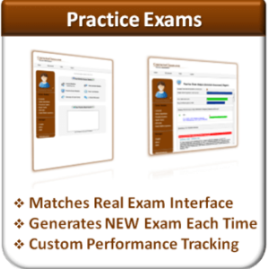 Practice Exams (Project Management)